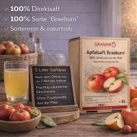 5 Liter-Box Apfel Direktsaft Braeburn aus der Pfalz