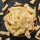 Gefriergetrocknete Ananas Stücke von Copaya 100g
