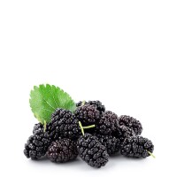 6 x 1 L Bio Maulbeere Direktsaft von Elite Naturel