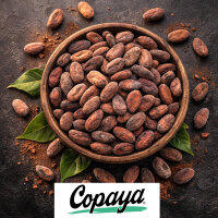 Copaya Bio Roh Kakaobohnen Criollo 250g