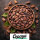 Copaya Bio Roh Kakaobohnen Criollo 250g