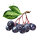 Bio Aroniabeeren von Copaya