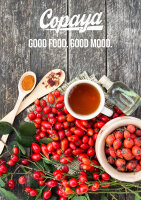 Bio Hagebuttenpulver von Copaya