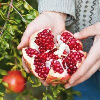 6 x 700ml Bio Granatapfel Direktsaft von Elite Naturel